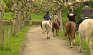 HORSE RIDE 